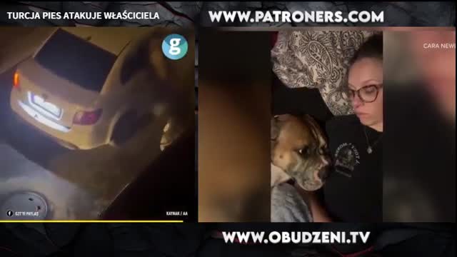 ZWIERZĘTA ZACZYNAJĄ ATAKOWAĆ