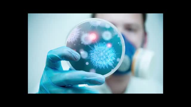 Wzorst liczby zgonów