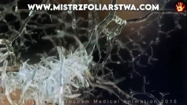 Zmiany w mózgu po mRNA