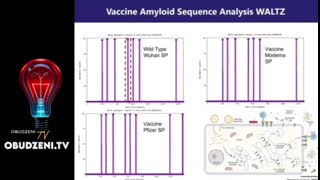 Białko kolca i mRNA