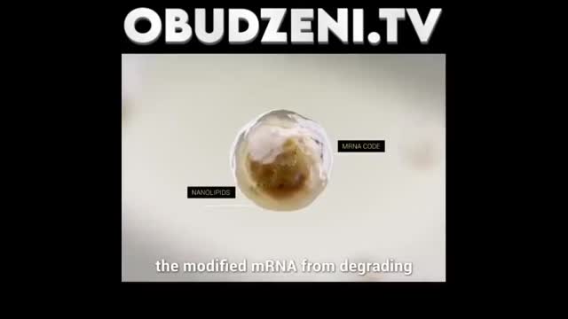 ZATSRZYKI GENETYCZNE