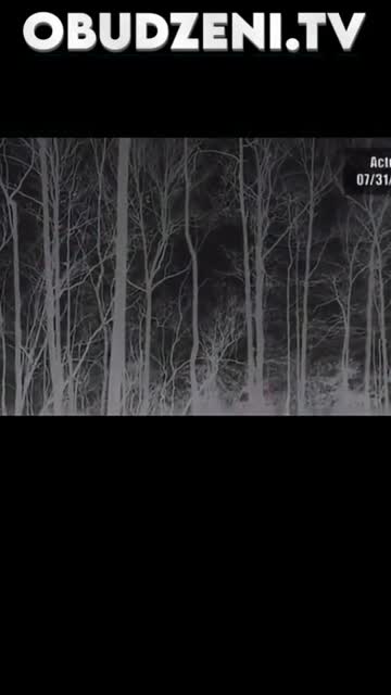 Dziwne stworzenie na dachu