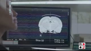 Charles Lieber o pomysłach z nanotechnologią