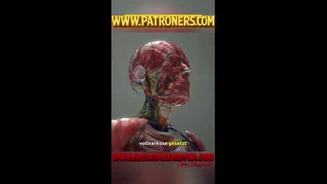 Przeszczep głowy_ Dzięki sztucznej inteligencji!